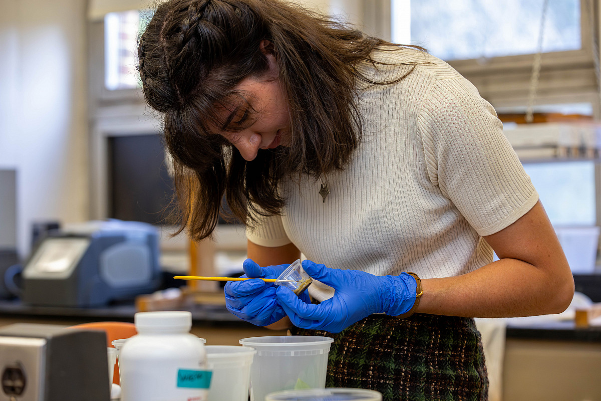 Student works in a lab