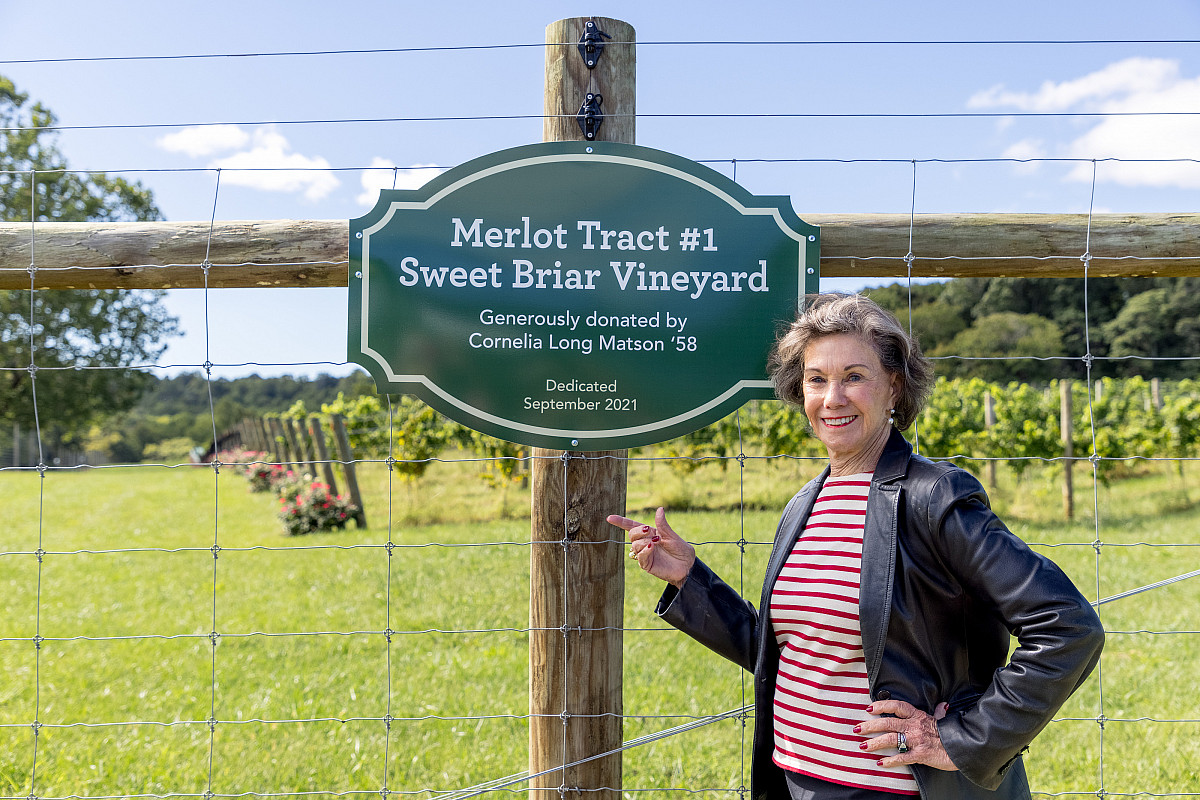Dedication of vineyard