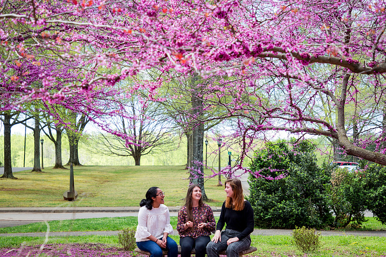 Students enjoying springtime on campus
