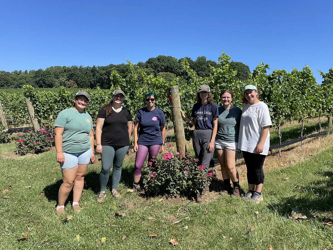 2022 Willits Fellows in Sweet Briar's vineyard.